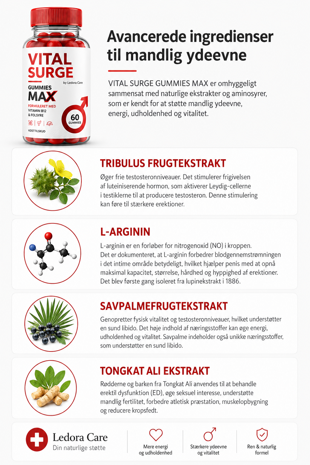 PerforMax™ – Naturlig støtte til energi, vitalitet og selvtillid