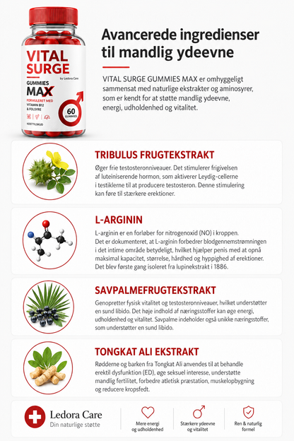 PerforMax™ – Naturlig støtte til energi, vitalitet og selvtillid